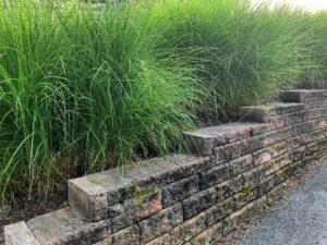 Retaining wall on the walkway in Luray, Virginia